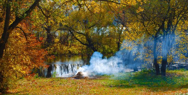 Осенние костры в парке