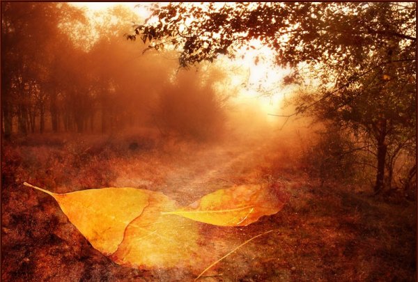 Осенний лист по ветру