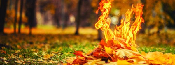 Осень костер