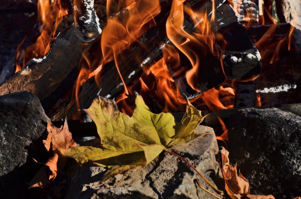 Осень костер