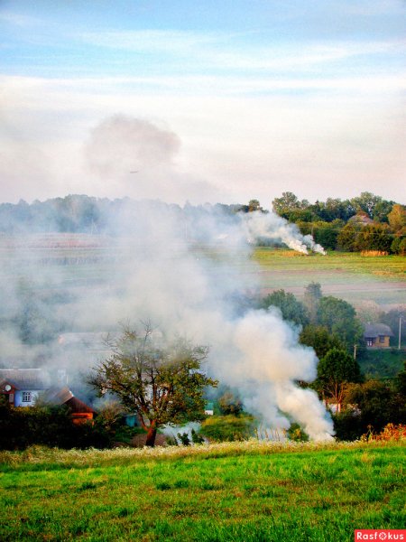 Осенний дым