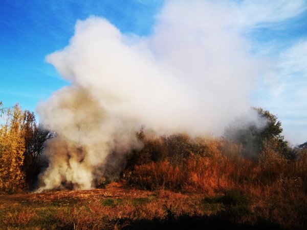 Дымный костер