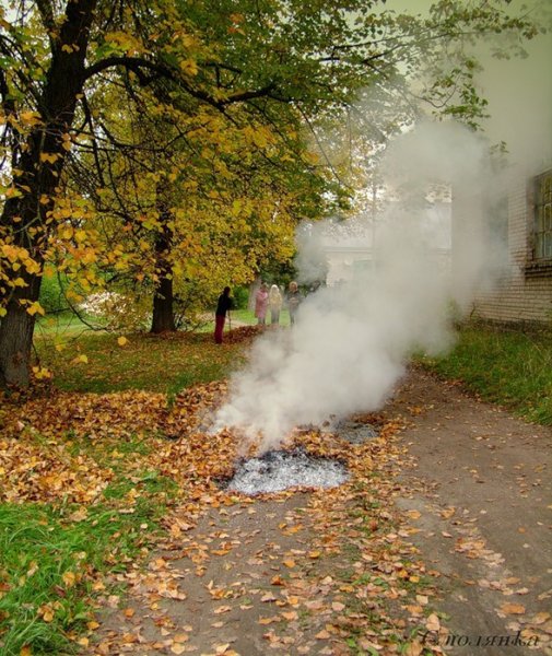 Листья жгут