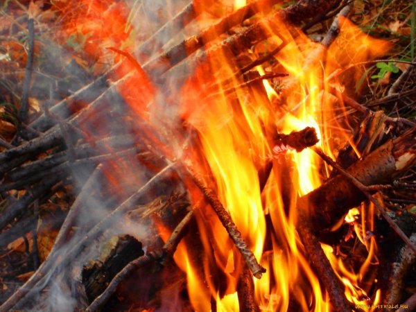Осенний костер