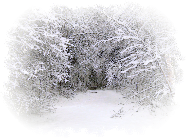 Зима на прозрачном фоне для фотошопа