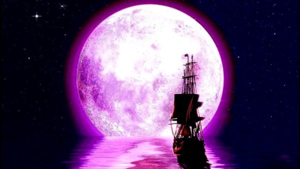 Фиолетовый корабль