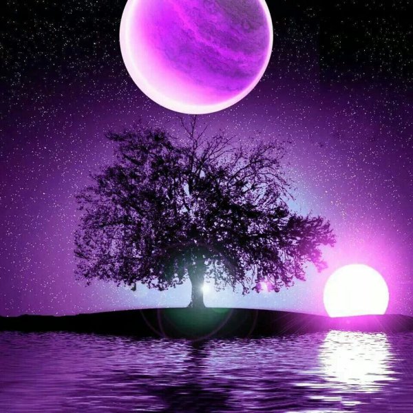 Сиреневая Луна