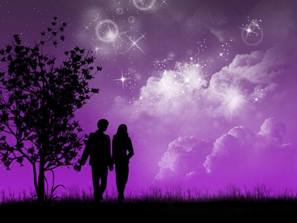 Романтика фиолетовая