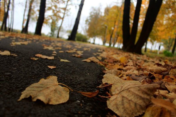 Осенняя грусть фото