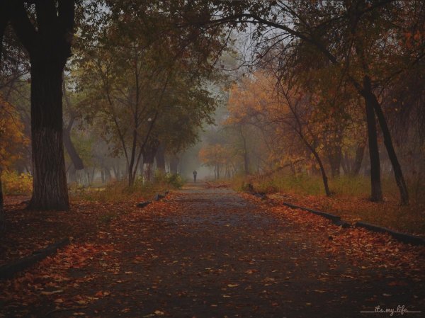 Грустная осень