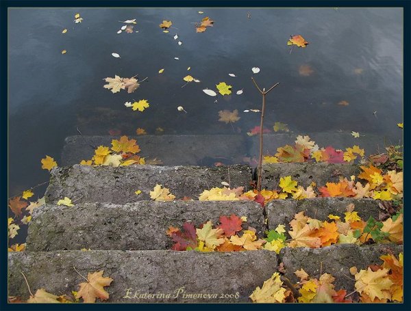 Печальная осень