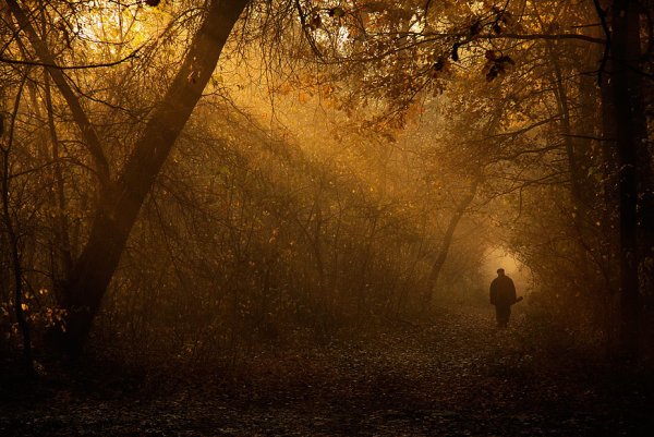 Осень тоска