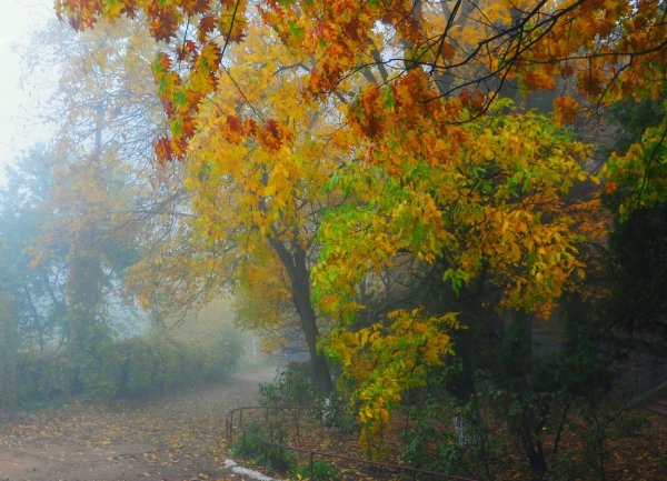 Грустный осенний пейзаж