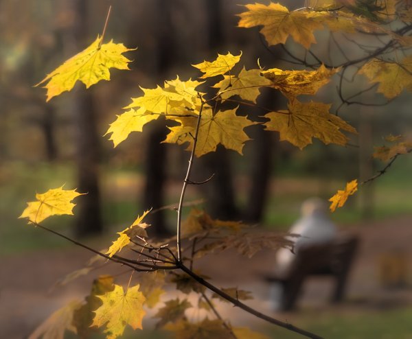 Осень грустит