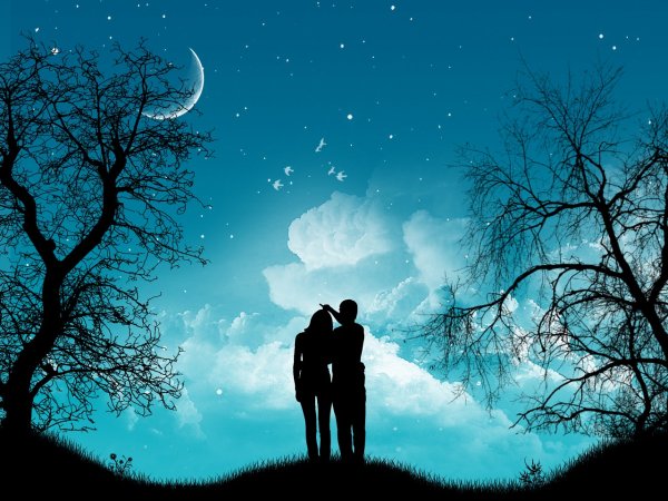 Влюбленные под луной
