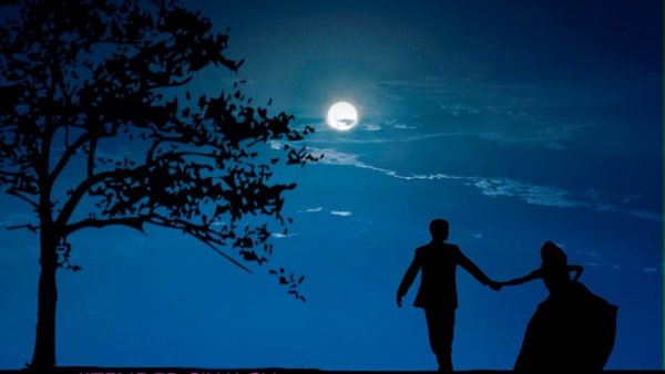 Прогулка под луной