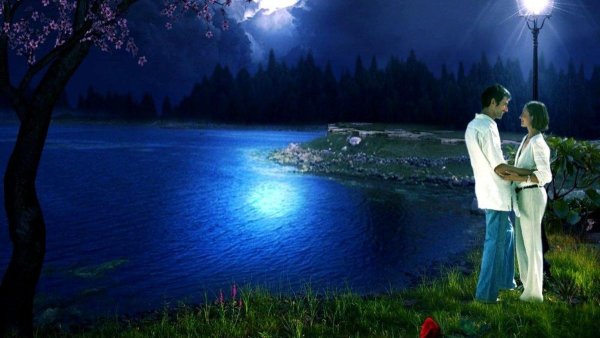 Влюбленные под луной