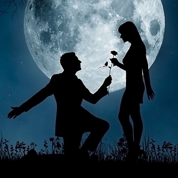 Прогулка под луной