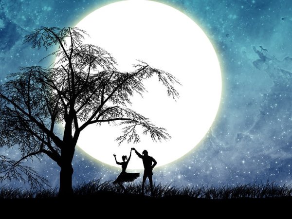 Влюбленные под луной