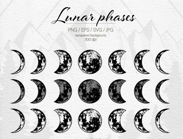 Moon phases svg