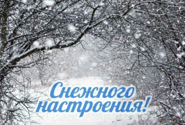 Снежное настроение