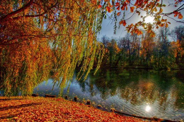 Осенняя грусть