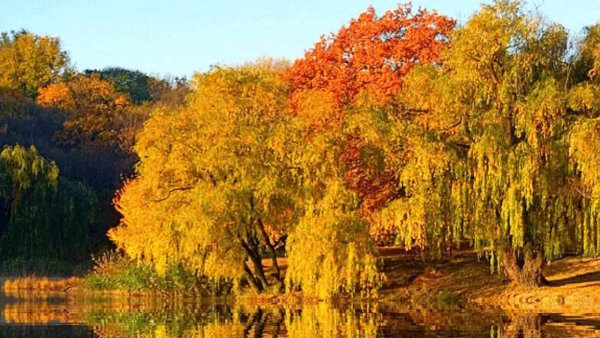 А Михайлов осень