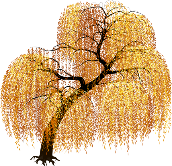 Золотое дерево на белом фоне