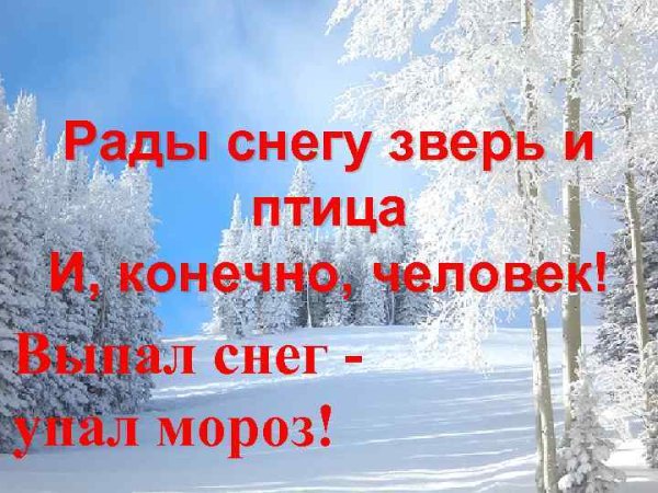 Рады снегу зверь и птица и конечно