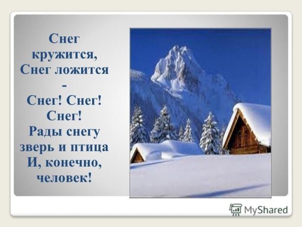 Рады снегу зверь и птица и конечно
