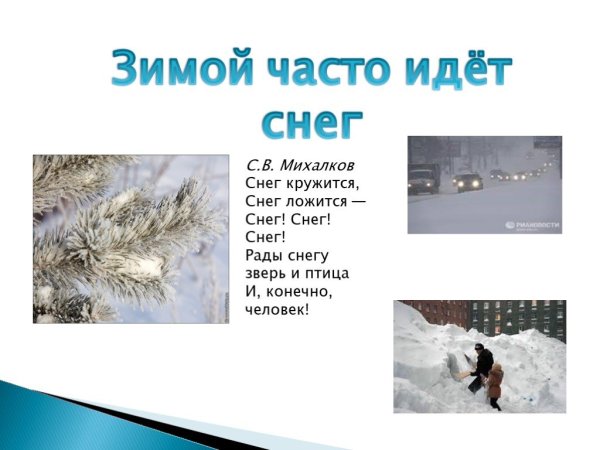 Рады снегу зверь и птица и конечно человек