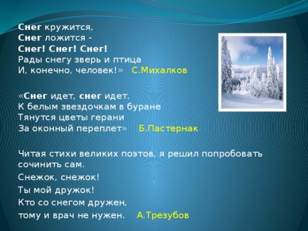 Снег снег снег рады снегу зверь и птица и конечно человек