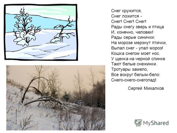Выпал снег упал Мороз кошка