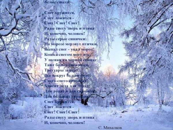 Снег кружится стих