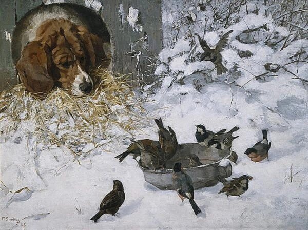 Зимний гость