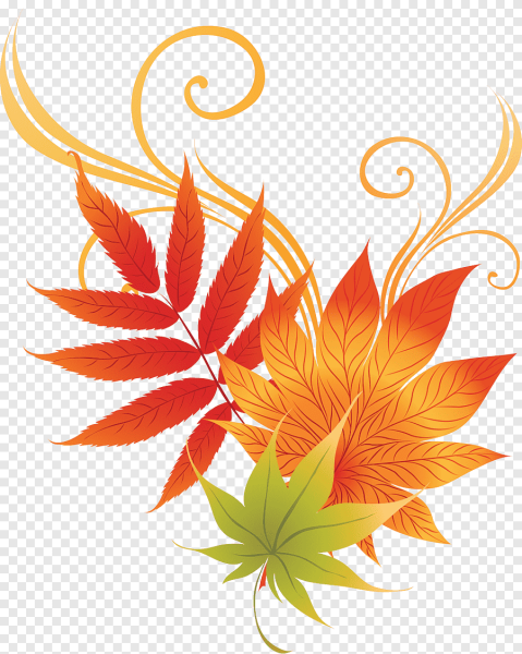 Осенние листья на прозрачном фоне