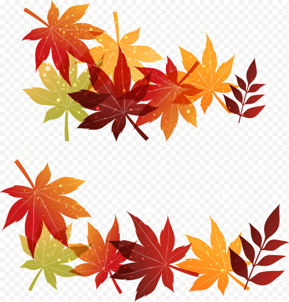 Орнамент из осенних листьев