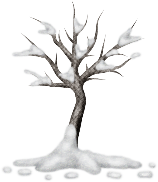 Зимнее дерево на прозрачном фоне