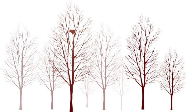 Силуэты деревьев и кустарников зимой