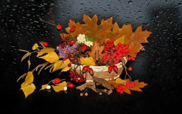 Осенняя фантазия натюрморт