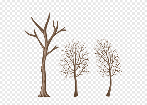 Зимнее дерево силуэт