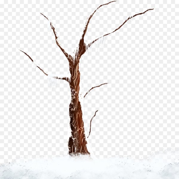 Зимнее дерево на белом фоне