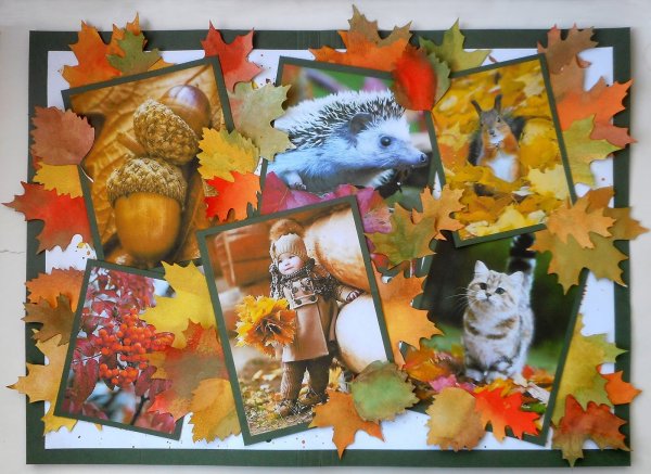 Коллаж на тему осень