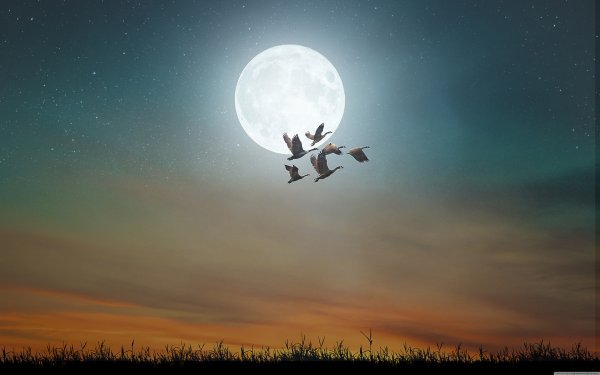 Луна на небе