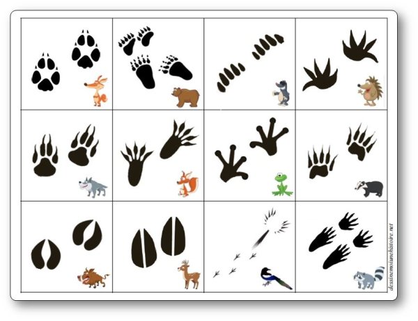 Игра Угадай чьи следы