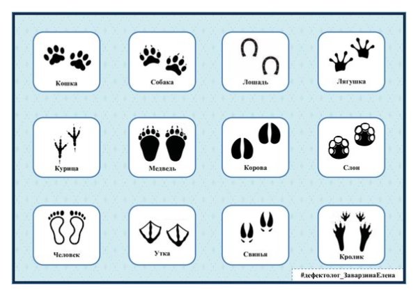Игра Угадай чьи следы