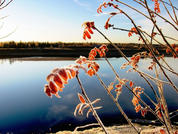 Заморозки в сентябре