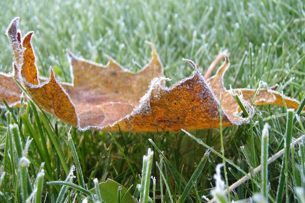 Заморозки в сентябре