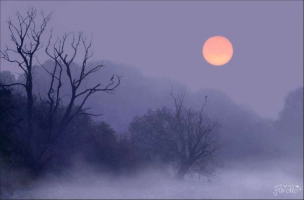 Ночь Луна туман