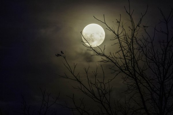 Ночь Луна туман